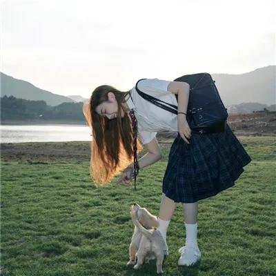 猫头鹰之森