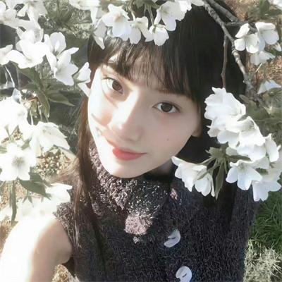 王子学院之绝对经济师