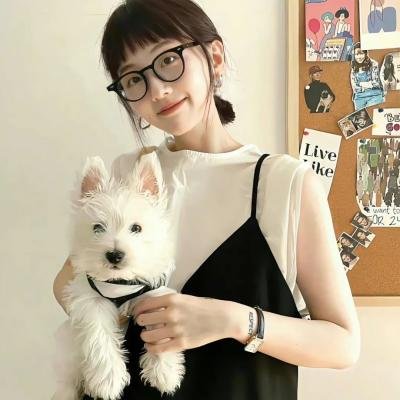 你是猪
