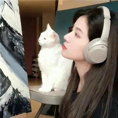 百视达纪事第一季